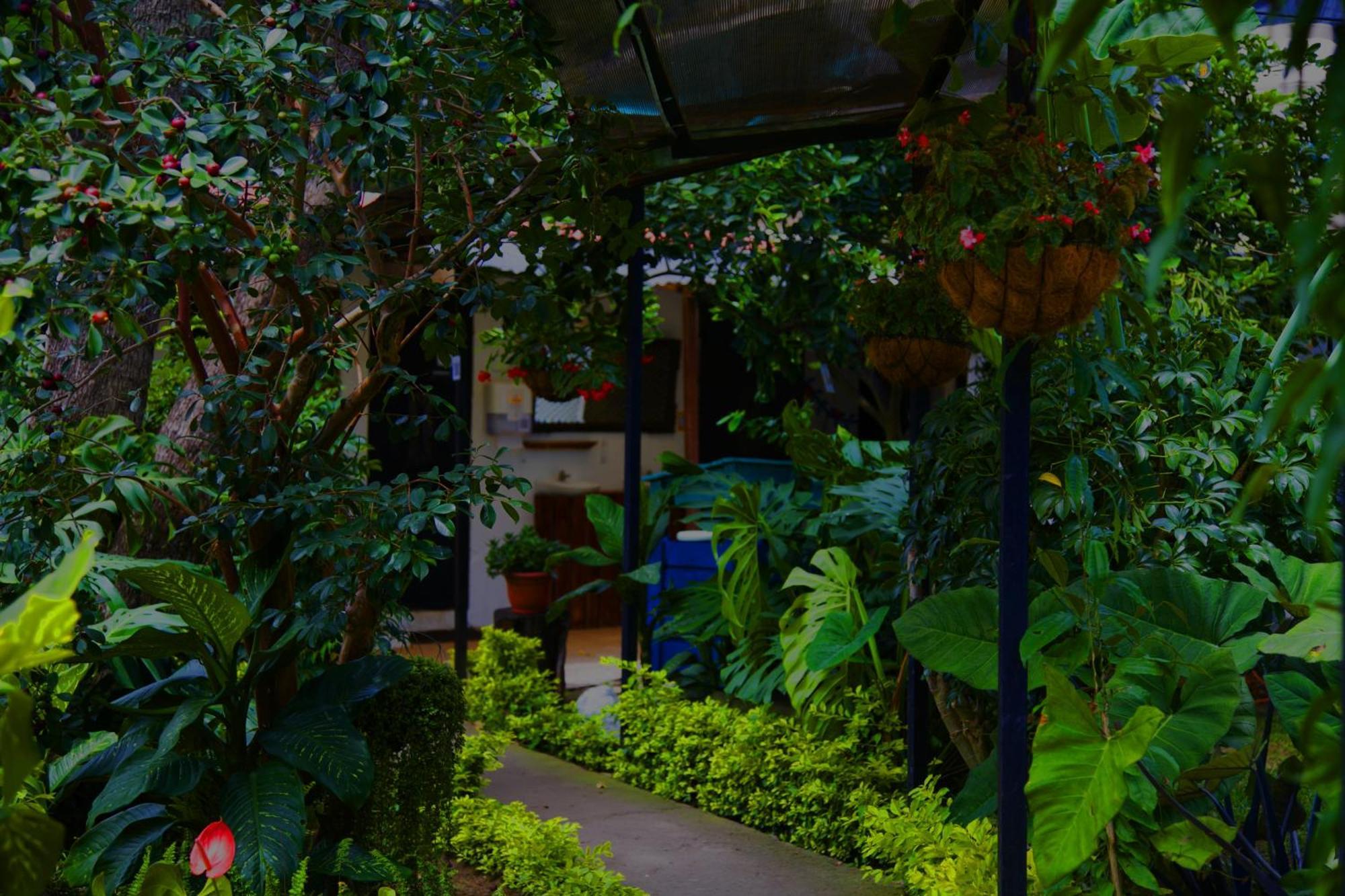 אנטיגואה גואטמלה Hostal Antigueeno מראה חיצוני תמונה
